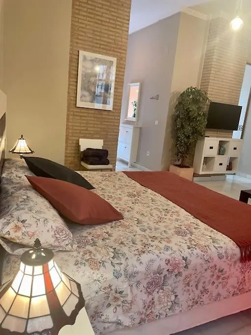 Acogedor Loft+Parking Junto A Catedral Apartment Seville 0*,  Spain