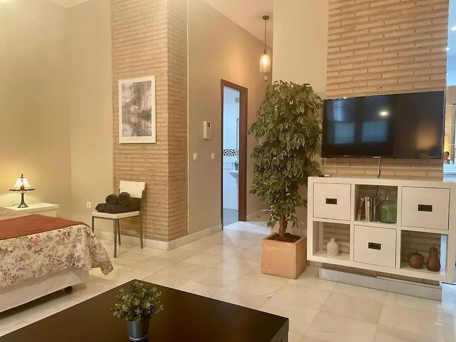 Acogedor Loft+Parking Junto A Catedral Apartment Seville