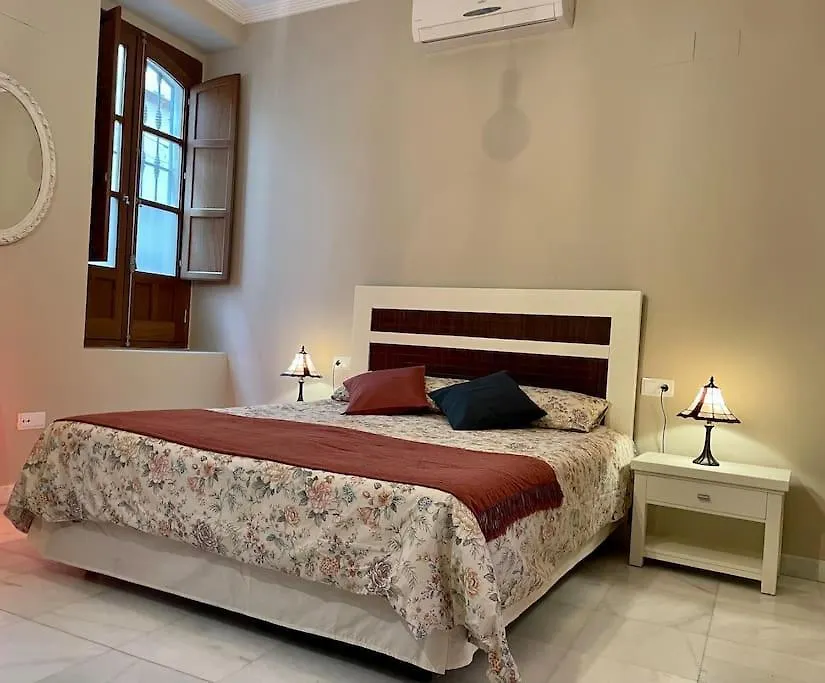 Acogedor Loft+Parking Junto A Catedral Apartment Seville Spain